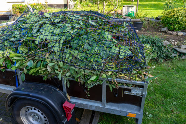  Dland, MI Junk Removal Services Pros